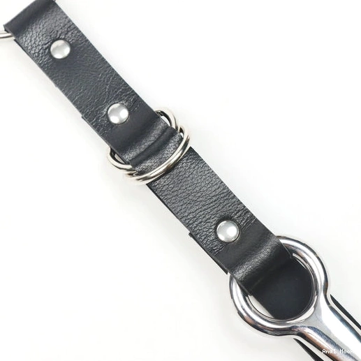Kinky Collar Anal Hook Leash and with EverydayUse 5853 0909